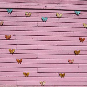 Meet your Posher, Camelia